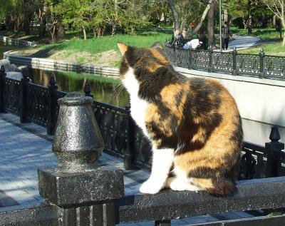 Прикрепленное изображение: sss.jpg